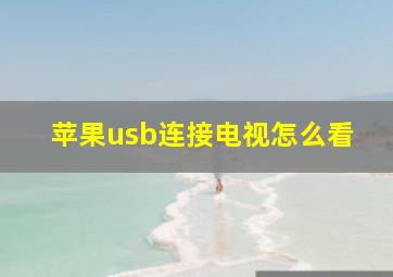 苹果usb连接电视怎么看