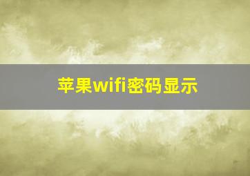 苹果wifi密码显示