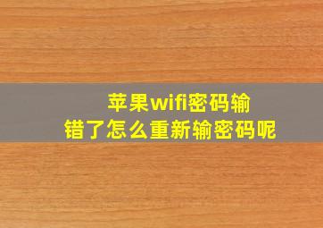 苹果wifi密码输错了怎么重新输密码呢