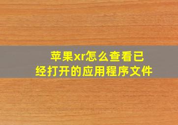 苹果xr怎么查看已经打开的应用程序文件