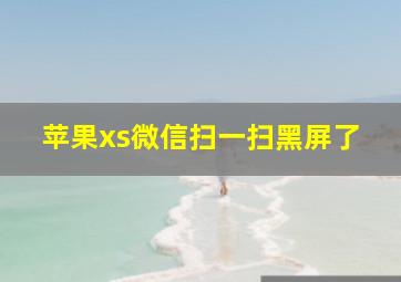 苹果xs微信扫一扫黑屏了