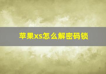 苹果xs怎么解密码锁