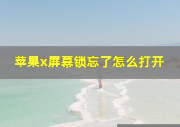 苹果x屏幕锁忘了怎么打开