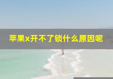 苹果x开不了锁什么原因呢