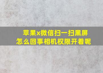 苹果x微信扫一扫黑屏怎么回事相机权限开着呢