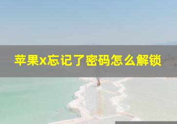 苹果x忘记了密码怎么解锁