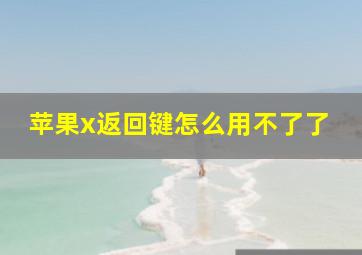 苹果x返回键怎么用不了了