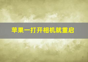 苹果一打开相机就重启