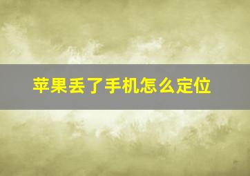 苹果丢了手机怎么定位