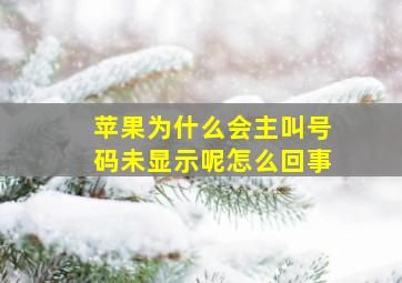 苹果为什么会主叫号码未显示呢怎么回事