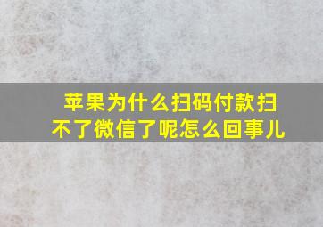 苹果为什么扫码付款扫不了微信了呢怎么回事儿