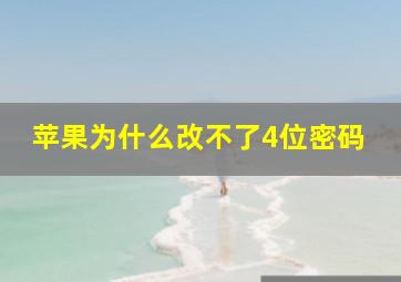 苹果为什么改不了4位密码