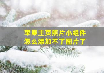 苹果主页照片小组件怎么添加不了图片了