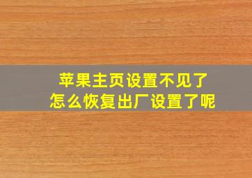 苹果主页设置不见了怎么恢复出厂设置了呢