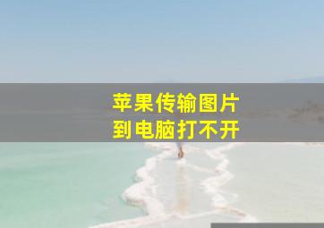 苹果传输图片到电脑打不开