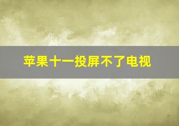 苹果十一投屏不了电视