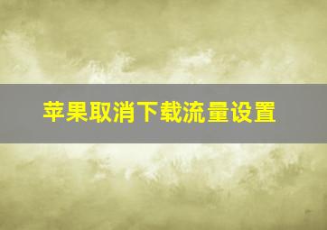 苹果取消下载流量设置