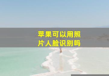 苹果可以用照片人脸识别吗