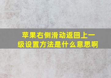 苹果右侧滑动返回上一级设置方法是什么意思啊