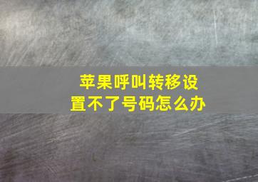 苹果呼叫转移设置不了号码怎么办