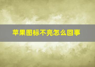 苹果图标不亮怎么回事