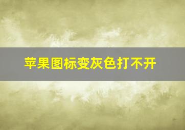 苹果图标变灰色打不开