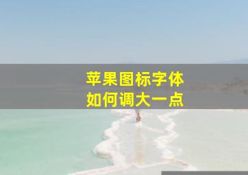 苹果图标字体如何调大一点