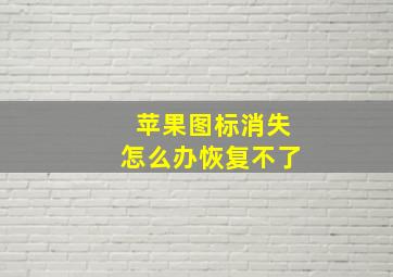 苹果图标消失怎么办恢复不了