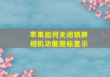 苹果如何关闭锁屏相机功能图标显示