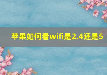 苹果如何看wifi是2.4还是5