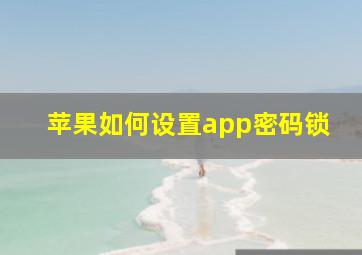 苹果如何设置app密码锁