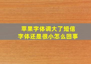 苹果字体调大了短信字体还是很小怎么回事