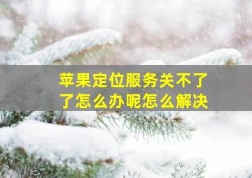 苹果定位服务关不了了怎么办呢怎么解决