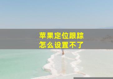 苹果定位跟踪怎么设置不了