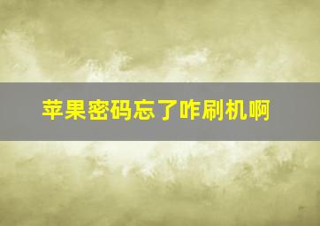 苹果密码忘了咋刷机啊