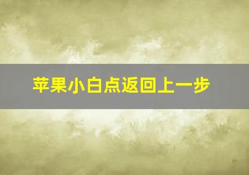 苹果小白点返回上一步