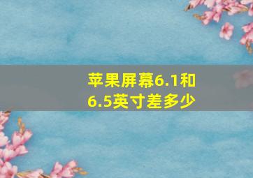 苹果屏幕6.1和6.5英寸差多少