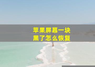 苹果屏幕一块黑了怎么恢复