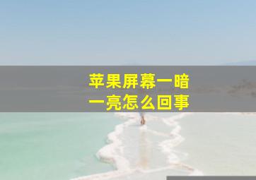 苹果屏幕一暗一亮怎么回事