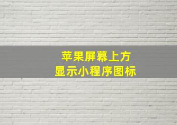 苹果屏幕上方显示小程序图标