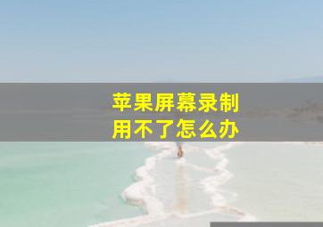 苹果屏幕录制用不了怎么办