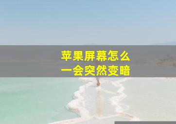 苹果屏幕怎么一会突然变暗