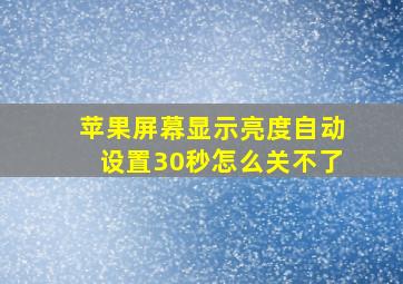 苹果屏幕显示亮度自动设置30秒怎么关不了