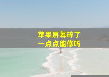 苹果屏幕碎了一点点能修吗