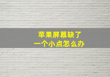 苹果屏幕缺了一个小点怎么办