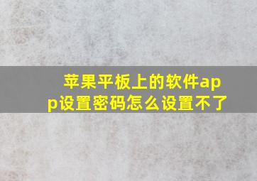 苹果平板上的软件app设置密码怎么设置不了