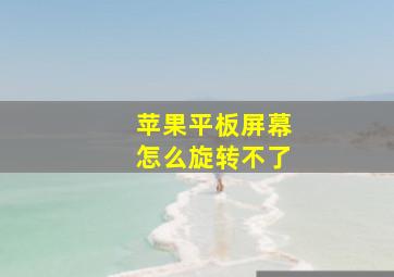 苹果平板屏幕怎么旋转不了