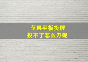 苹果平板投屏投不了怎么办呢