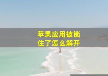 苹果应用被锁住了怎么解开