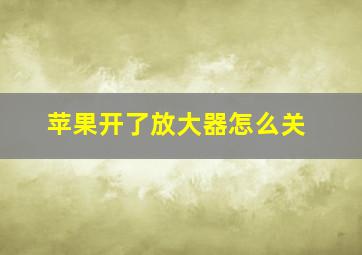 苹果开了放大器怎么关